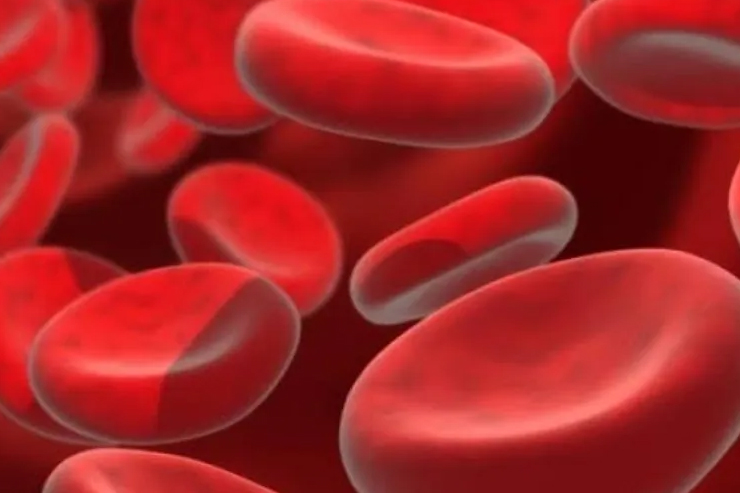 Haematinics & Hemostatics